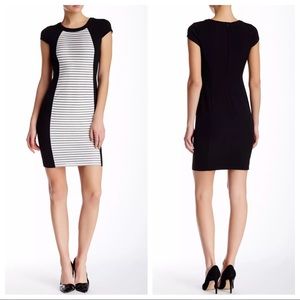 Maggy London Cap Sleeve Black White Striped Sheath